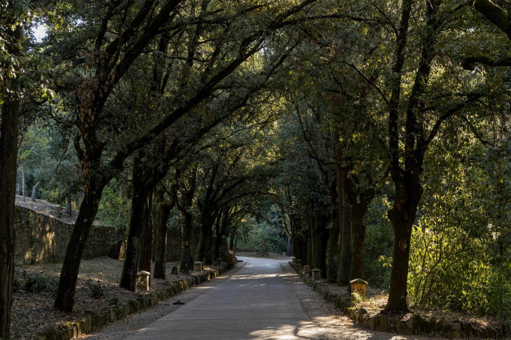 Borgo Dei Conti Resort Relais & Chateaux ペルージャ エクステリア 写真